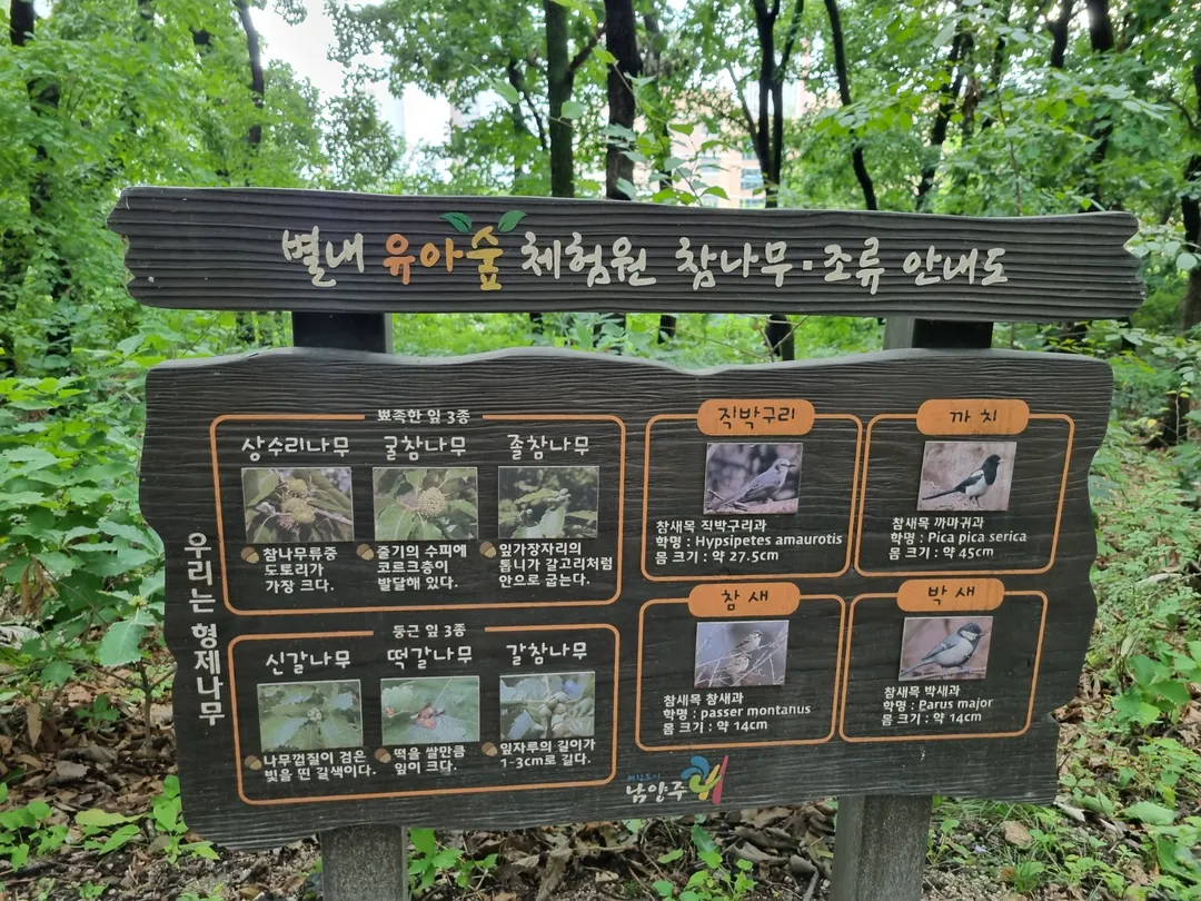 Byeollae Children's Forest Experience Center photo 19