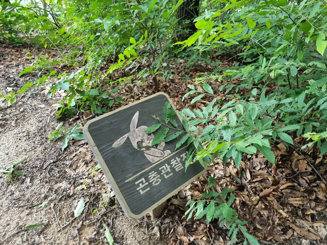 Byeollae Children's Forest Experience Center photo 15