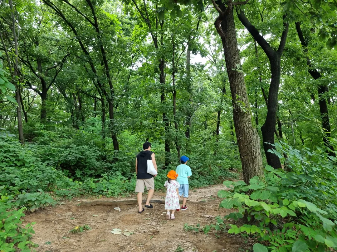 Byeollae Children's Forest Experience Center photo 7