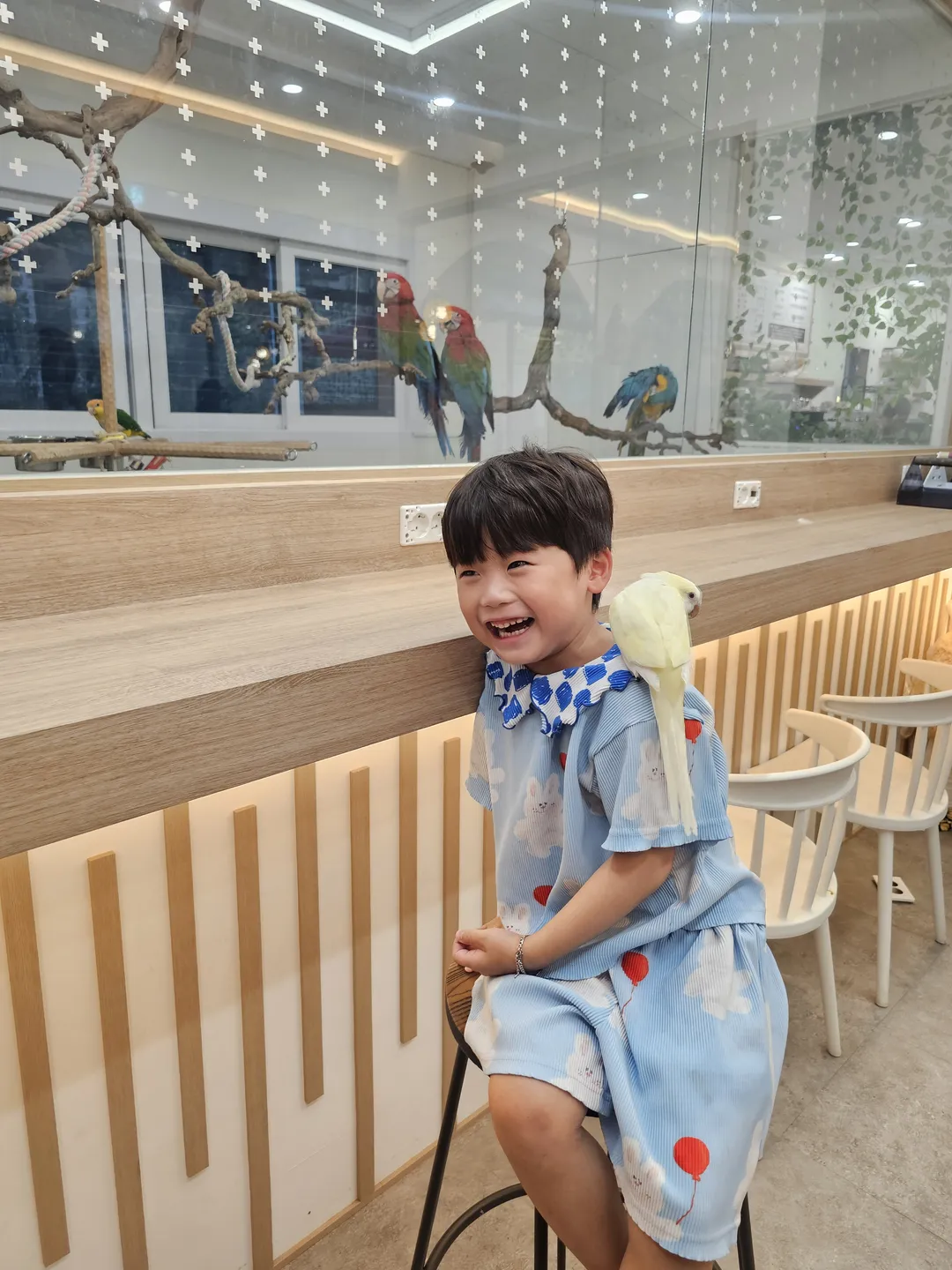 힐링코어
