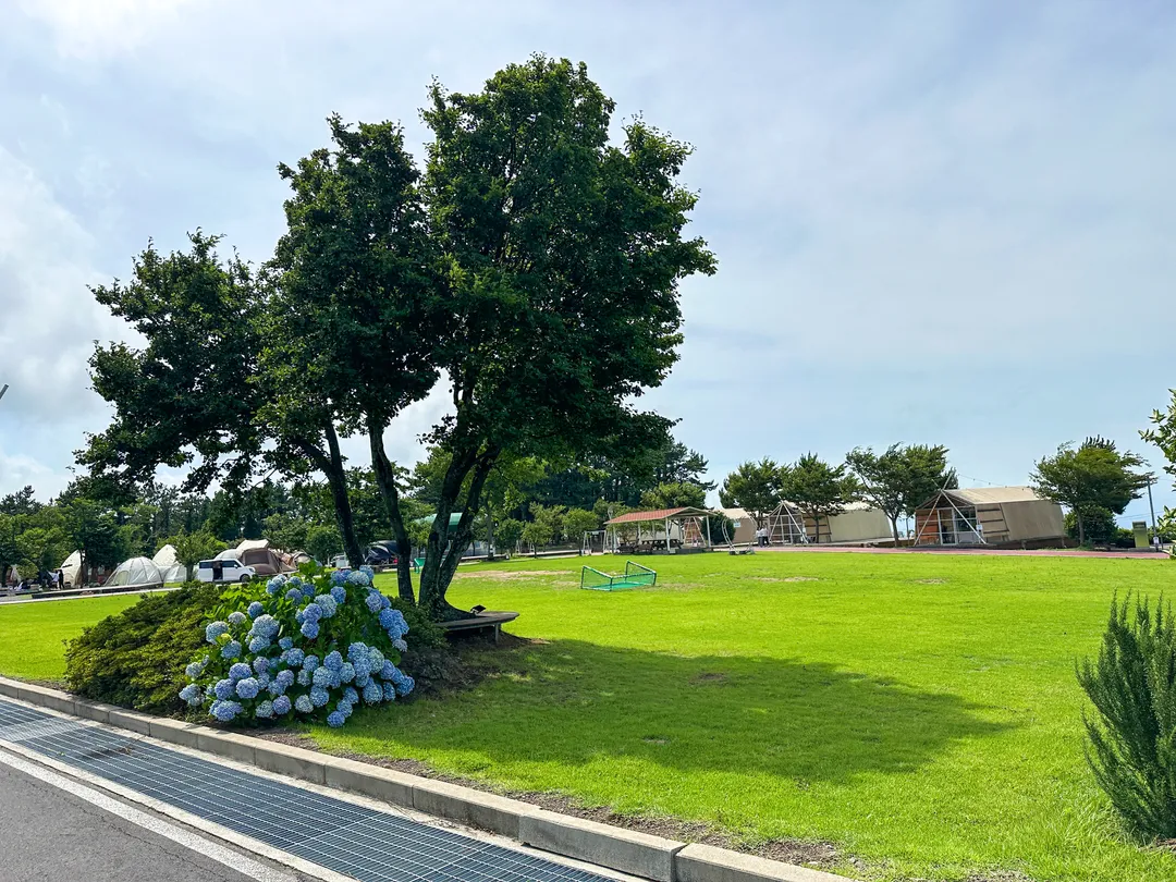 済州 ノッコメ ペンション キャンプ場 写真 7