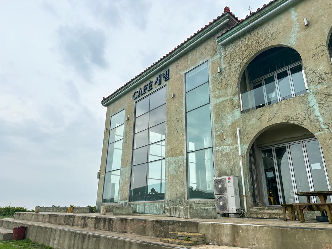 새빌 사진 9