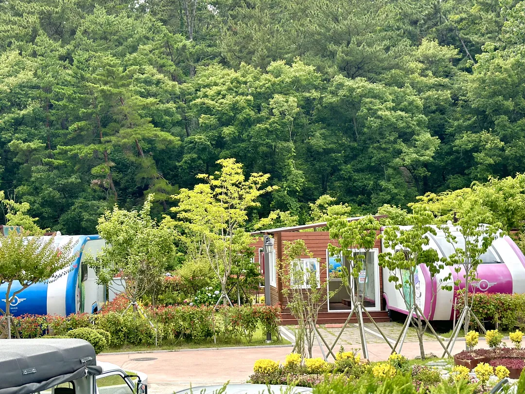 입화산 자연휴양림 유아숲체험원 사진 27