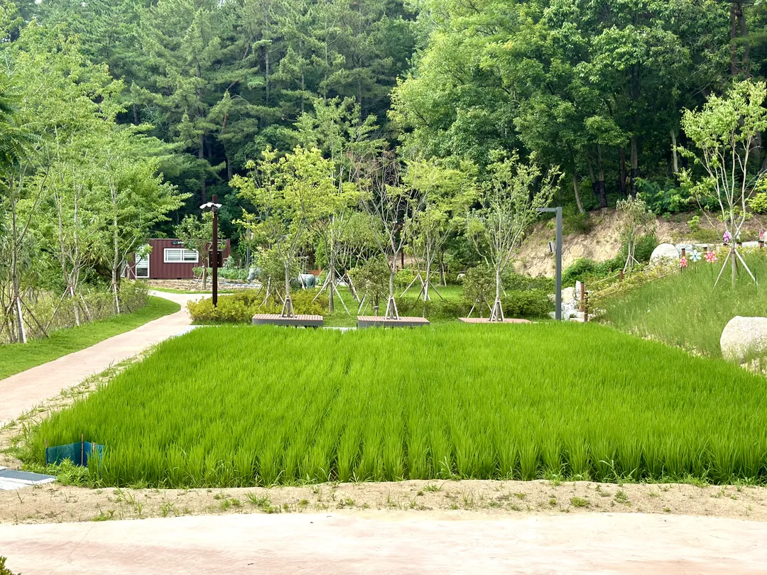 입화산 자연휴양림 유아숲체험원 사진 23