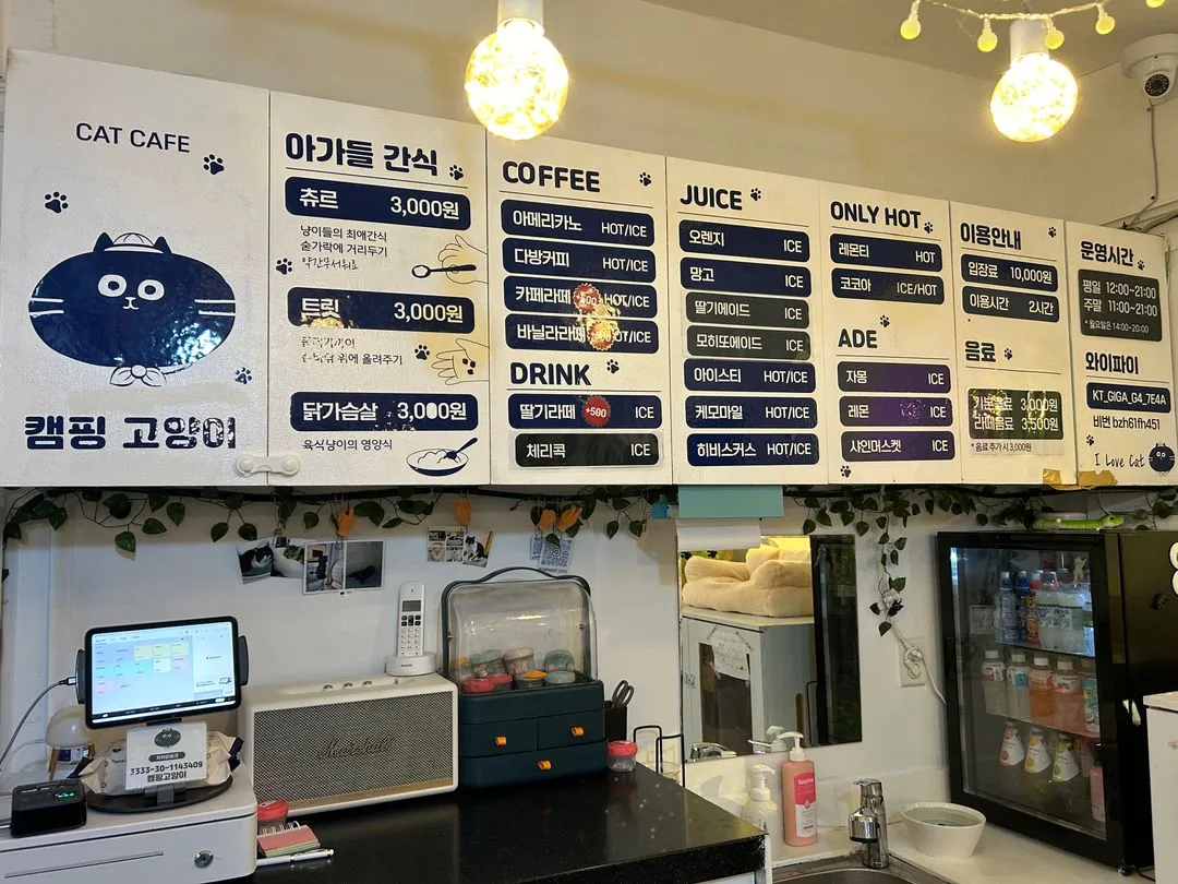 Camping Cat Cafe Seolleung Branch photo 14