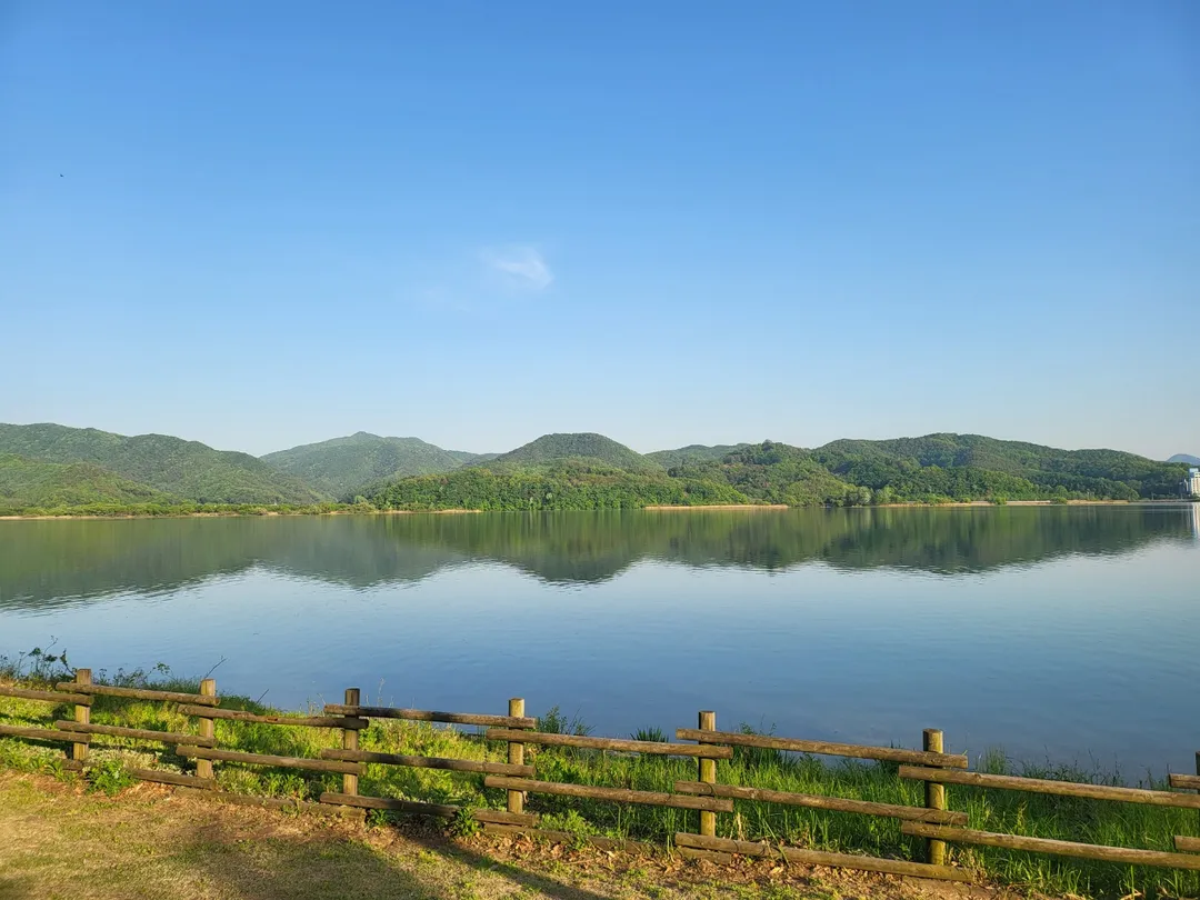 다산생태공원 사진 8
