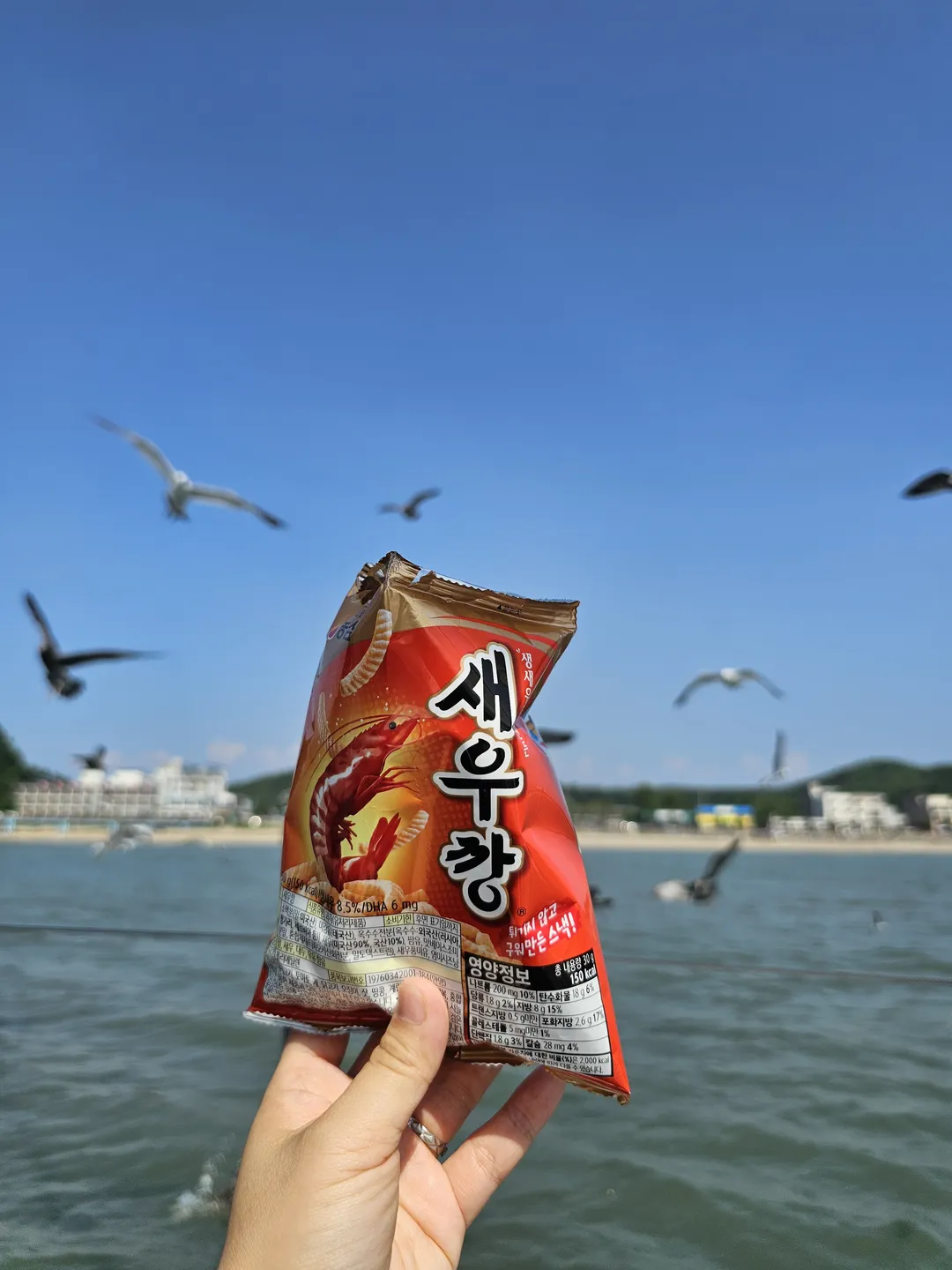 AB요트