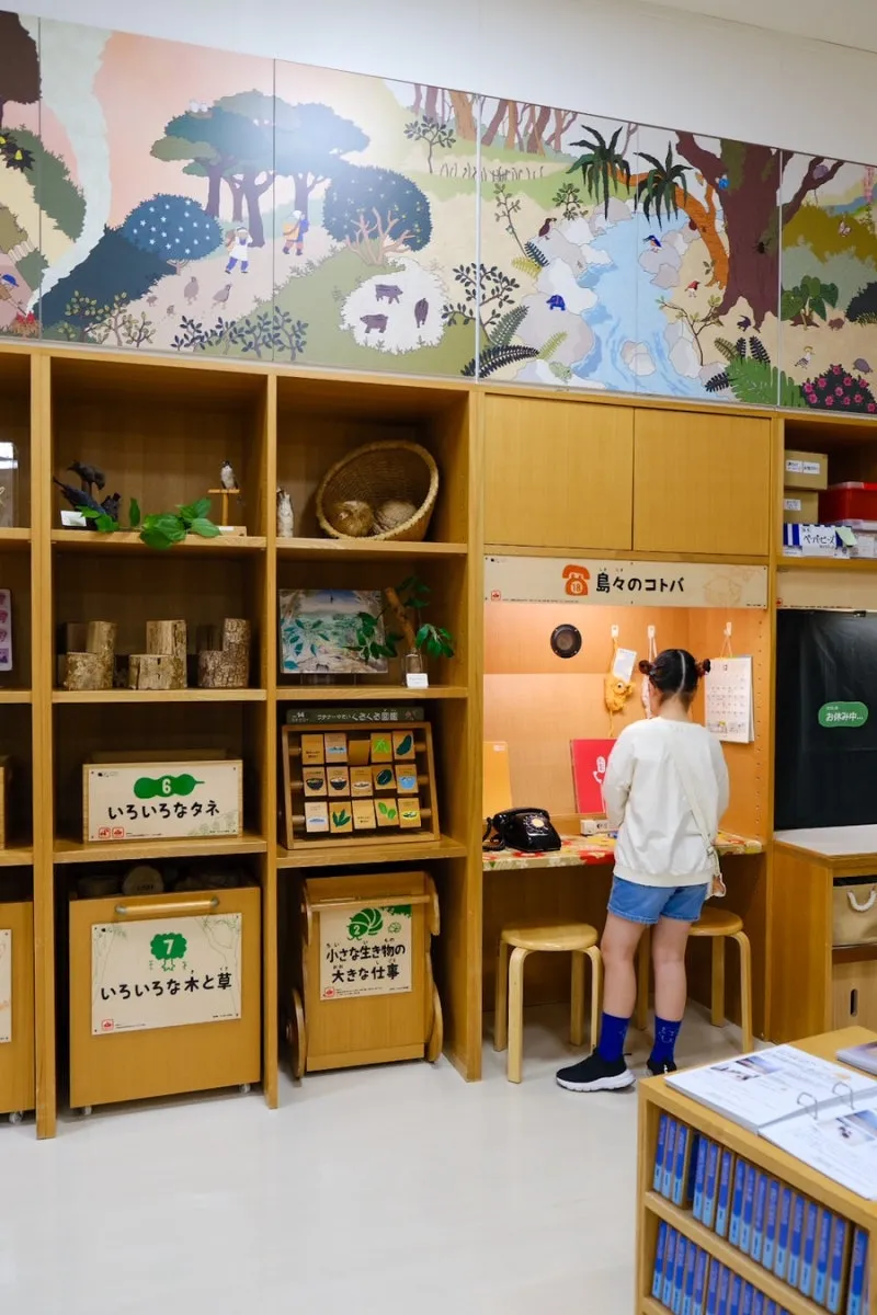 沖縄県立博物館 写真 13