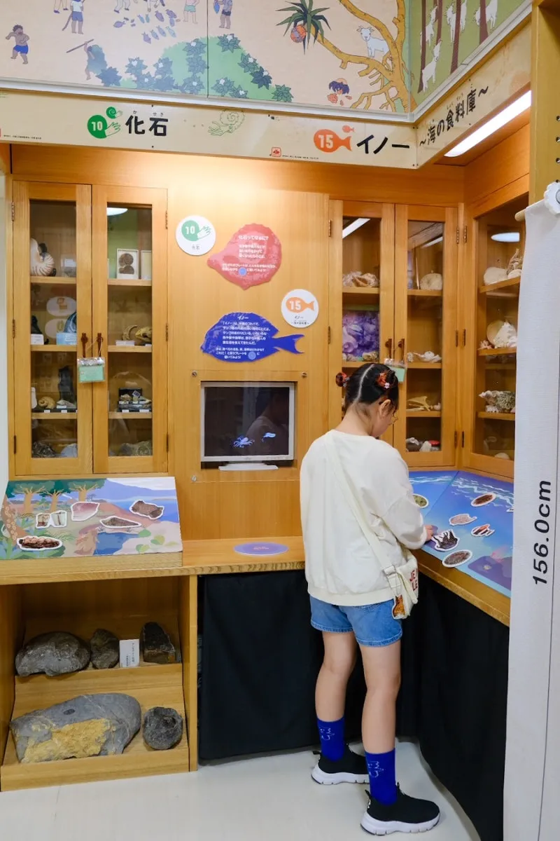 沖縄県立博物館 写真 12