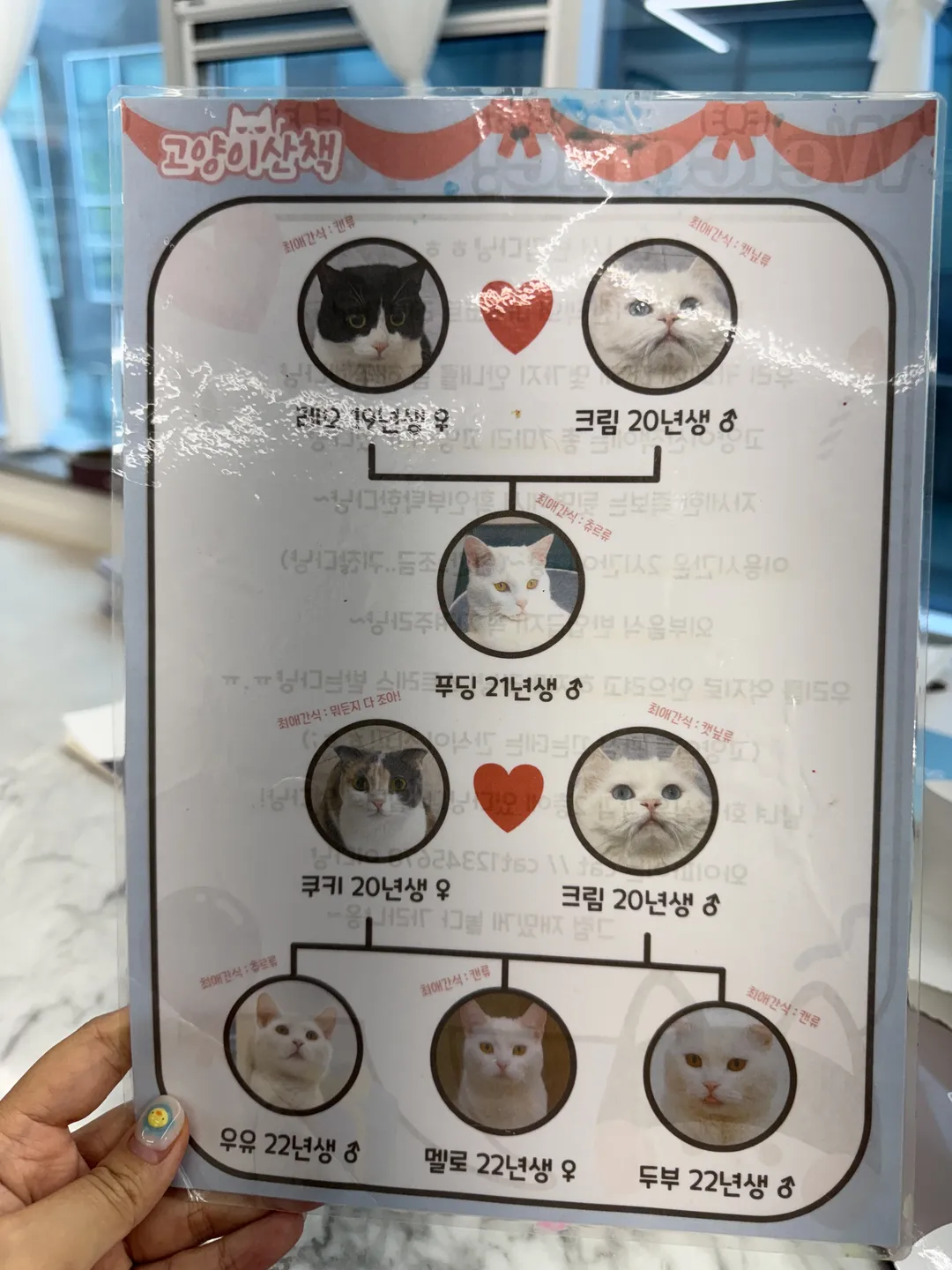 카페 레오 사진 10