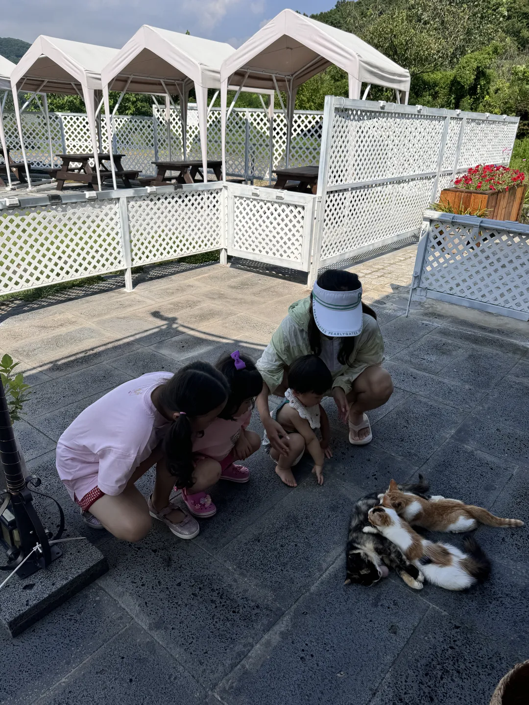 카페 블루레이크