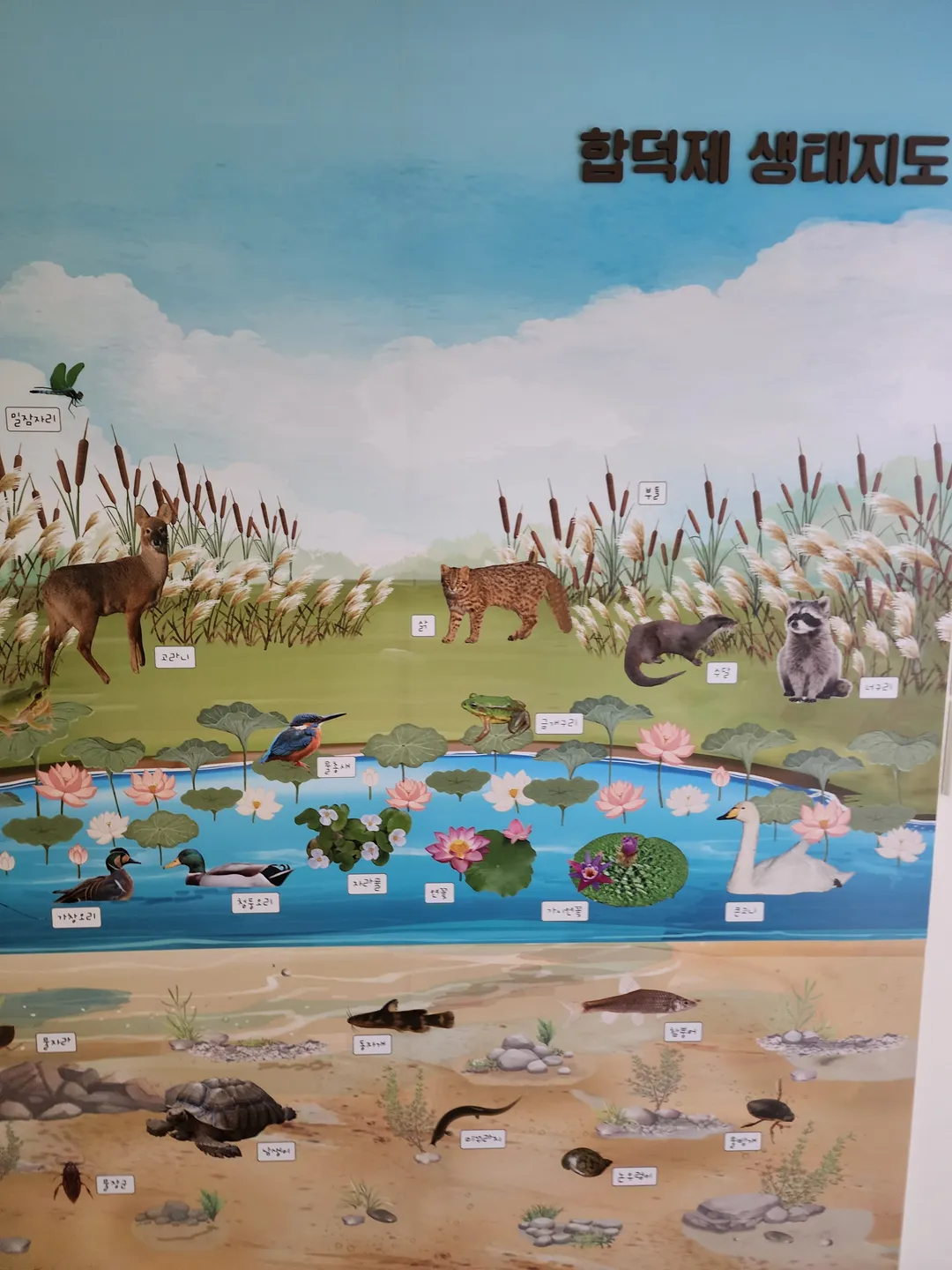 합덕제 생태관광체험센터 사진 8
