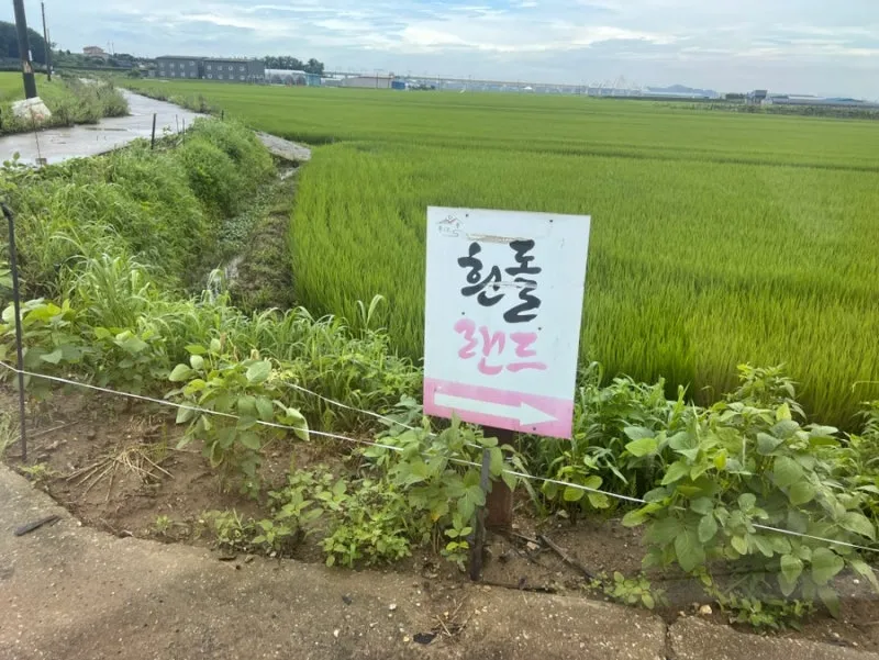 흰돌랜드 사진 11
