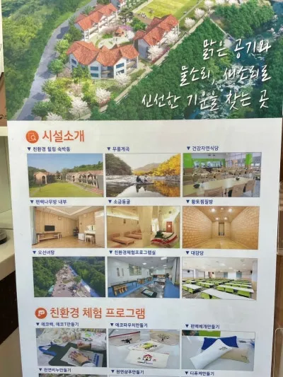 동해무릉건강숲 사진 27