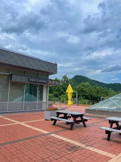 동해무릉건강숲 사진 20