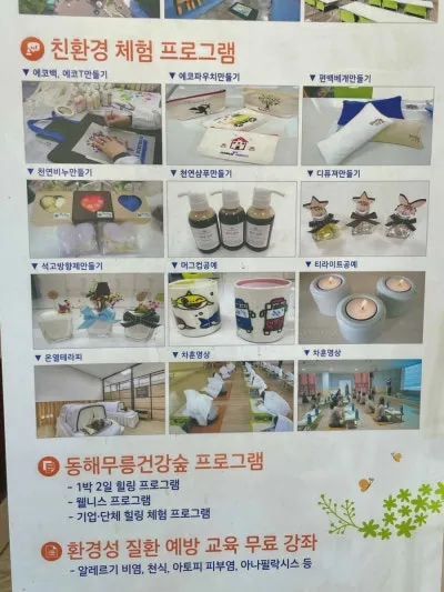 동해무릉건강숲 사진 26