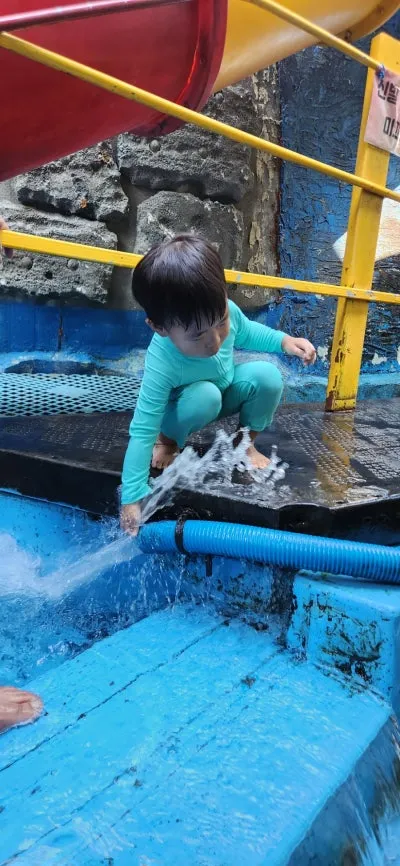 금오동천대성식당 사진 8