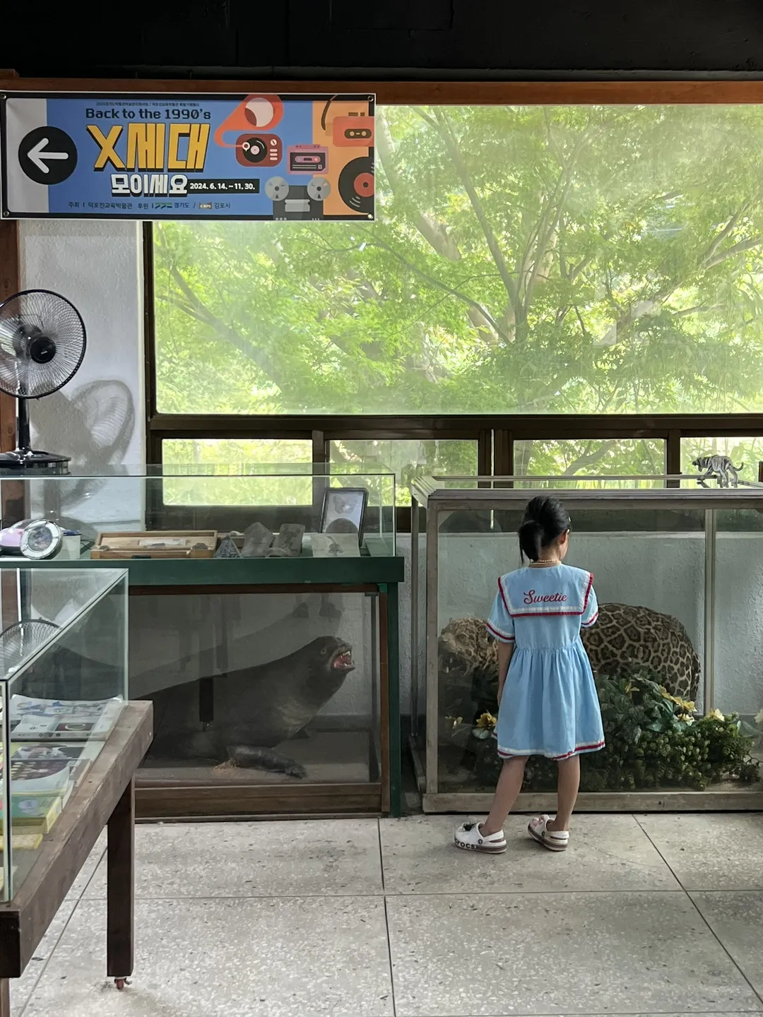 덕포진교육박물관 사진 11