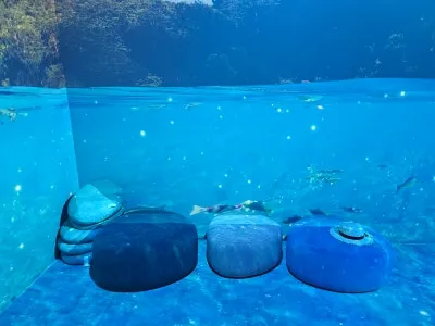 タルソメタバース体験館 写真 14
