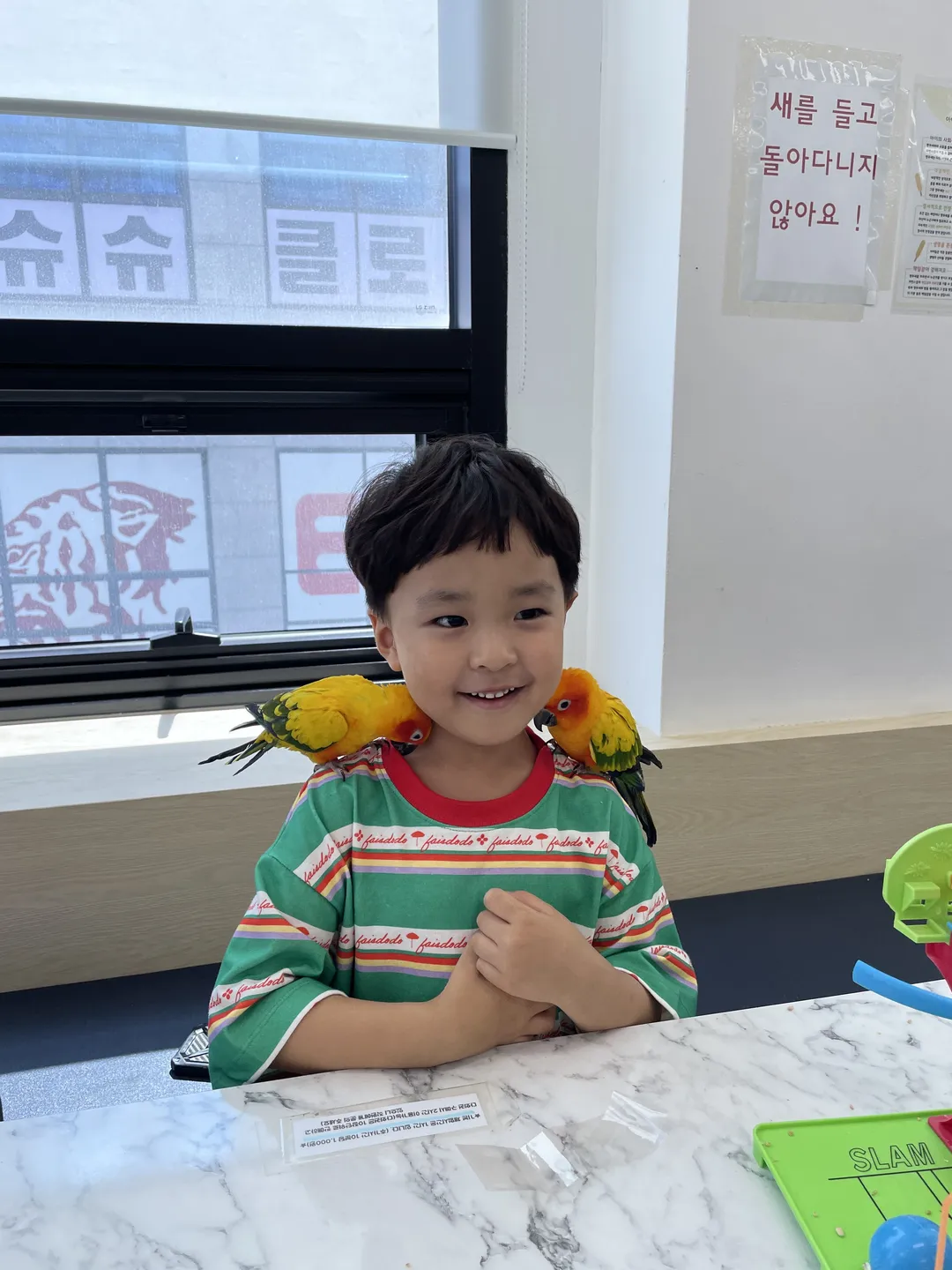 리프패럿 검단신도시점