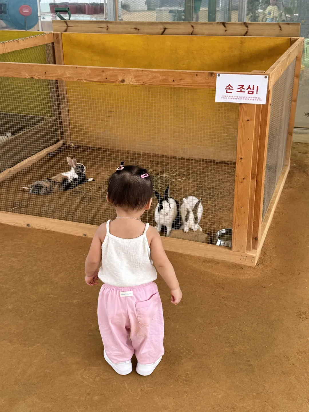 무럭무럭농장 사진 8