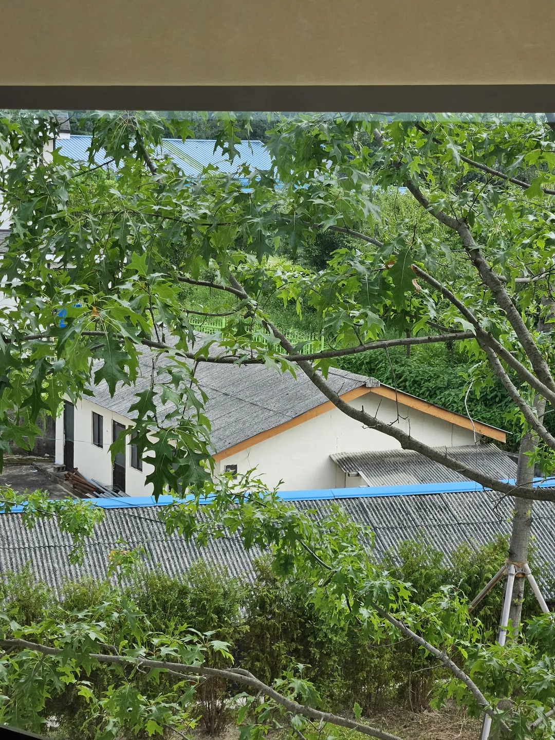 아이소 사진 8
