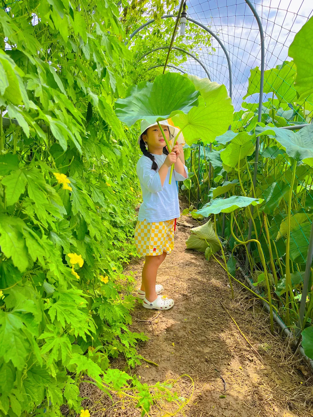 ヨニとミョンジュ 写真 7