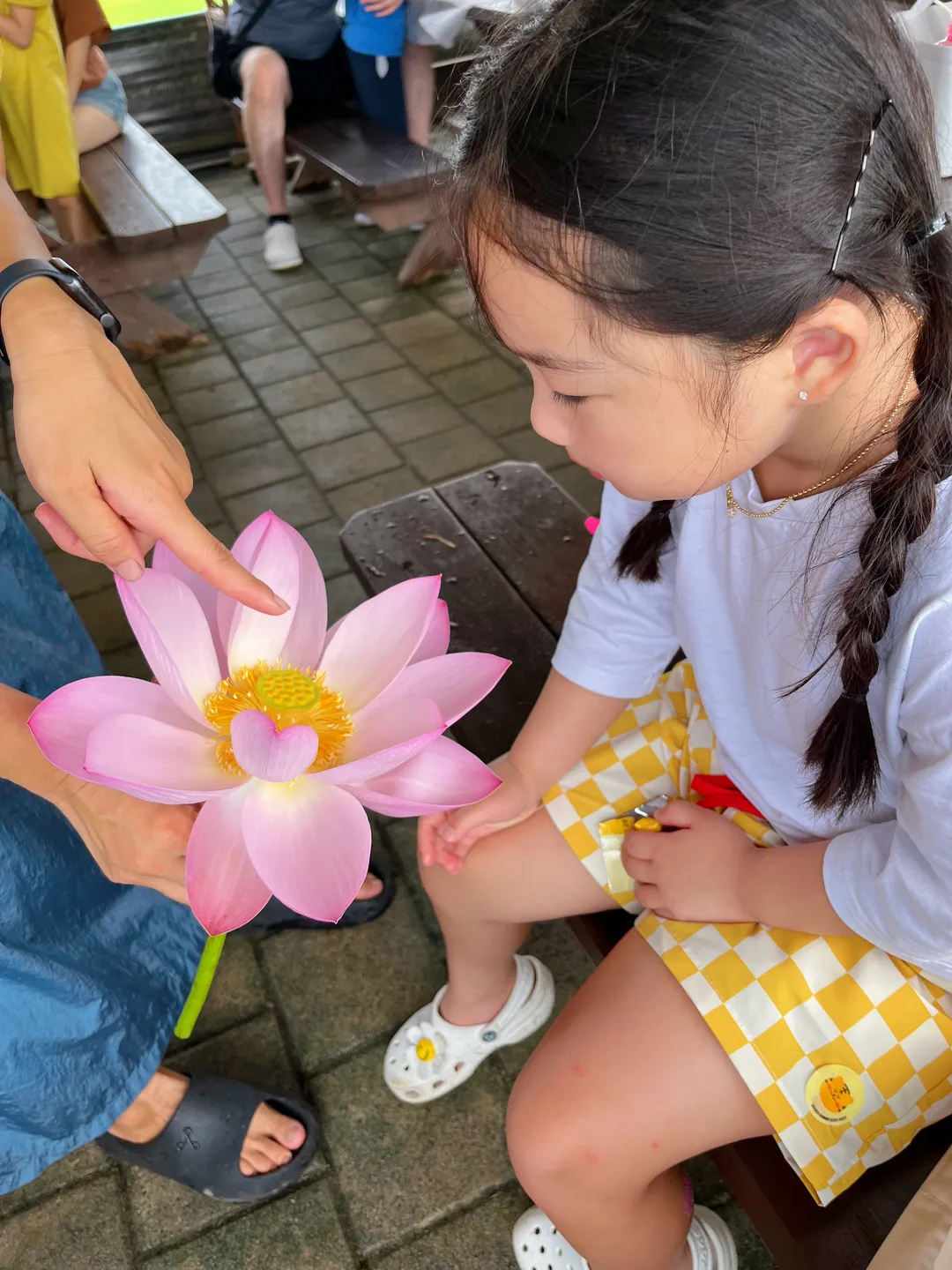 ヨニとミョンジュ 写真 10
