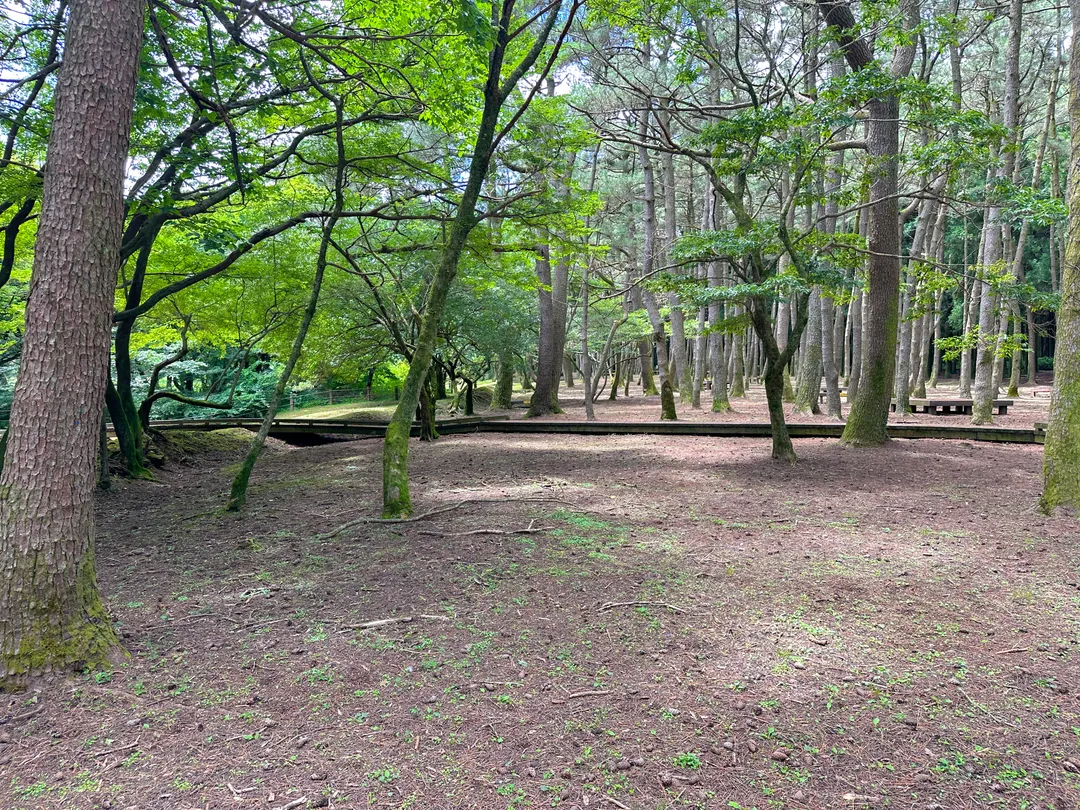 절물자연휴양림 사진 15