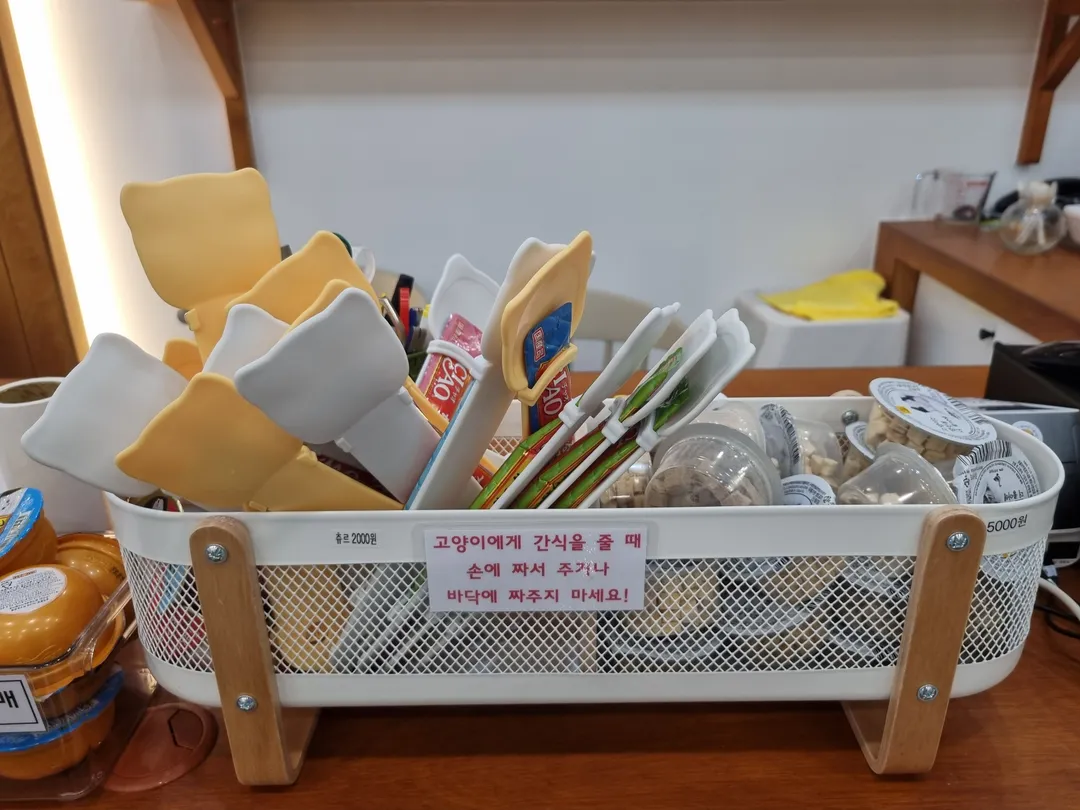 アイキャットユー ヤンジュ店 写真 16