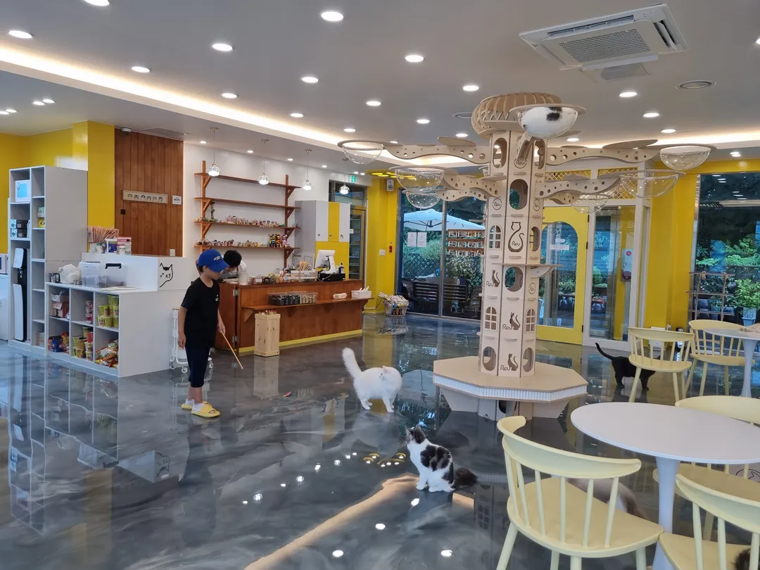 アイキャットユー ヤンジュ店 写真 7