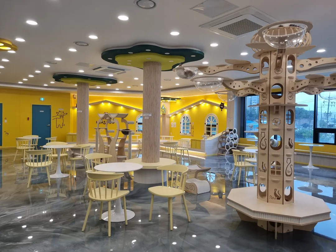 アイキャットユー ヤンジュ店 写真 8