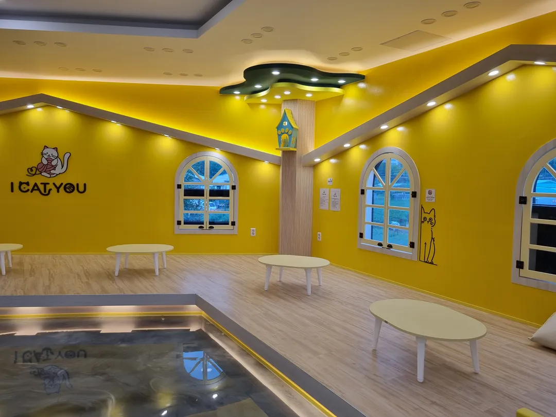 アイキャットユー ヤンジュ店 写真 9