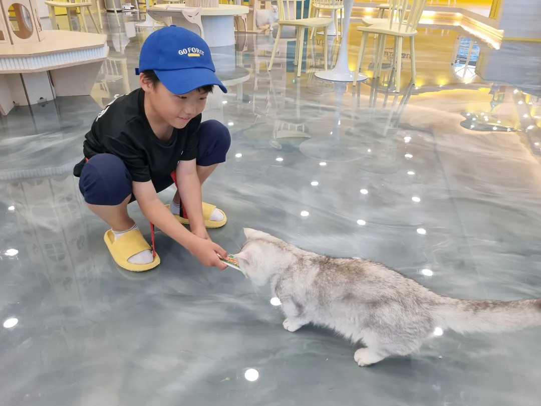 アイキャットユー ヤンジュ店 写真 6