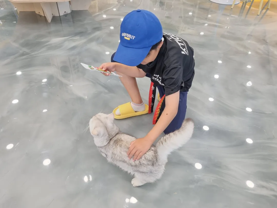 アイキャットユー ヤンジュ店 写真 11
