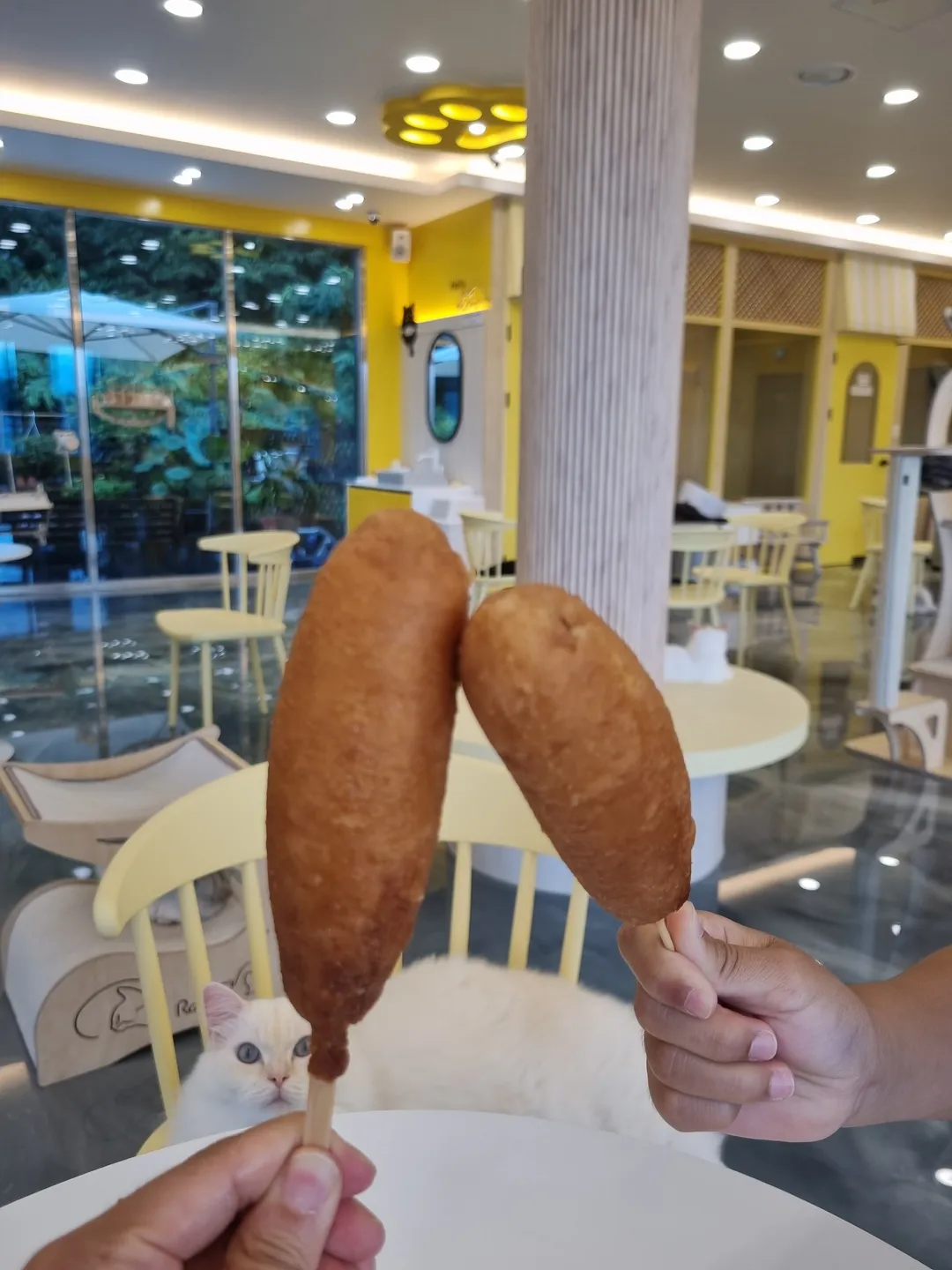 アイキャットユー ヤンジュ店 写真 22