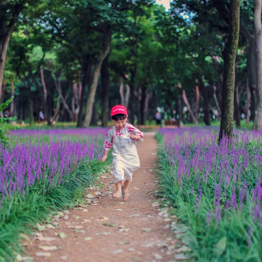 황성공원 사진 7