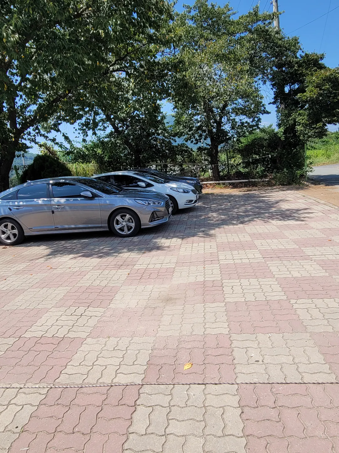 팔공제면본점 사진 20
