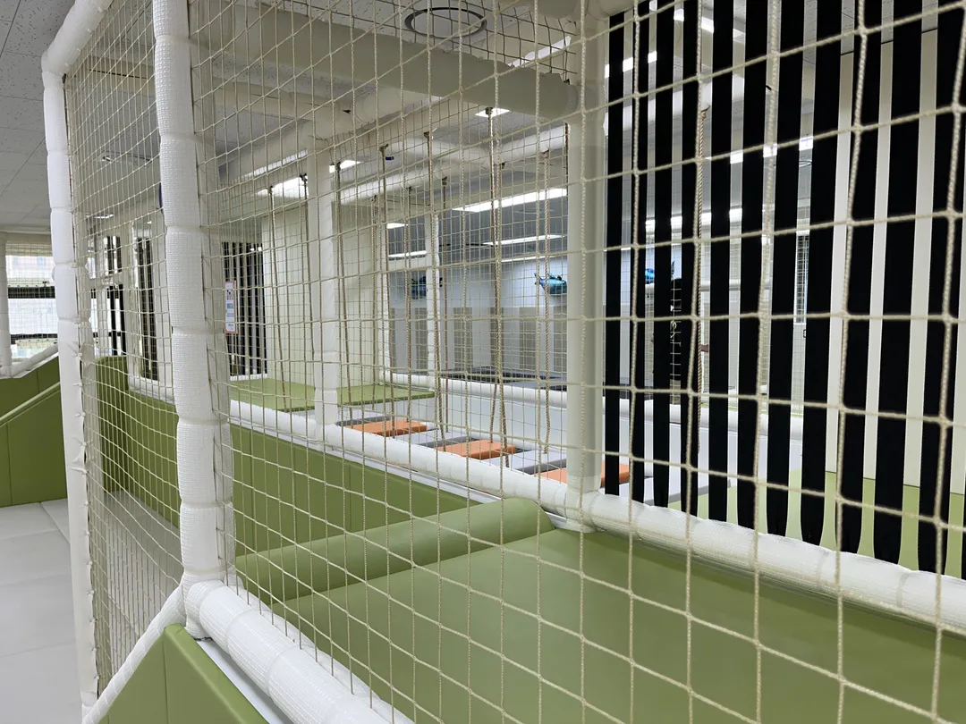 ソウル型キッズカフェ 永登浦区大林2洞店 写真 8