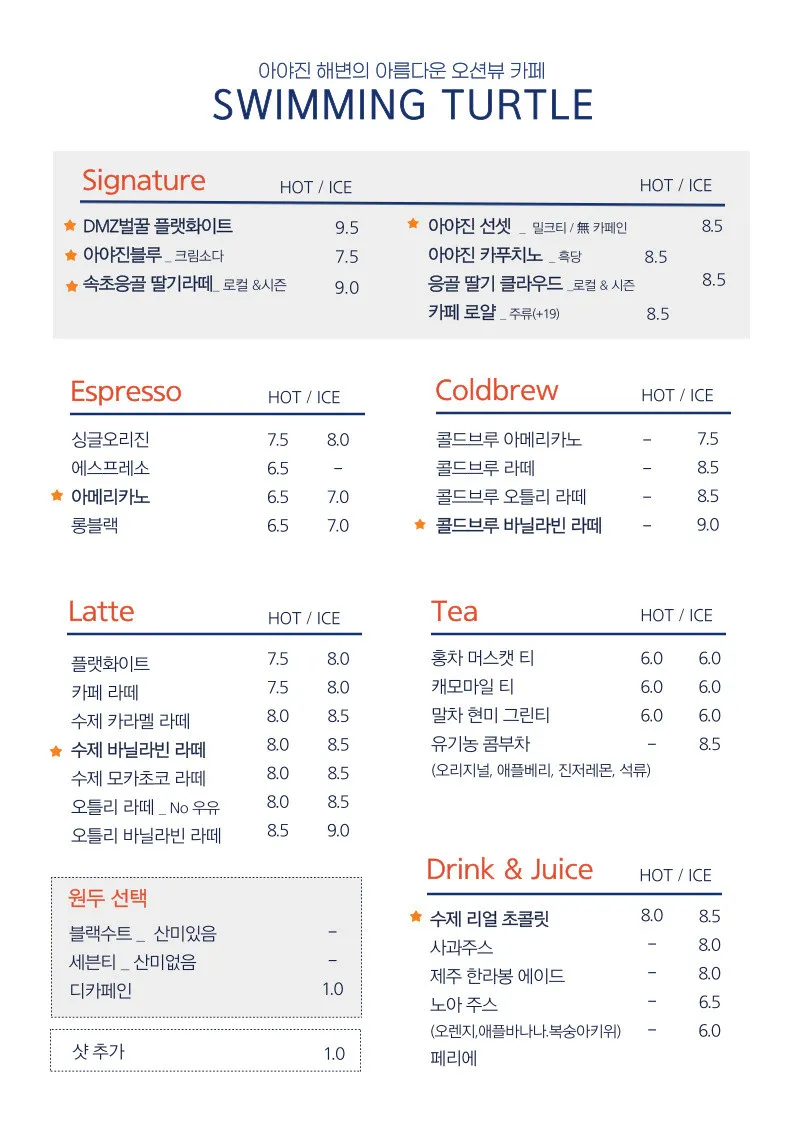 스위밍 터틀 사진 14