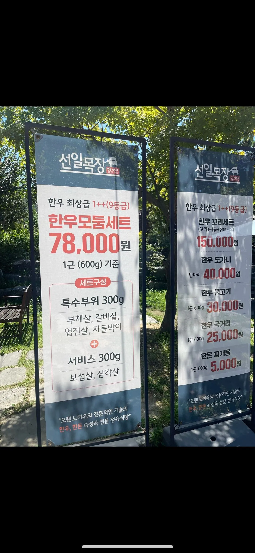 선일목장 정육식당 사진 15
