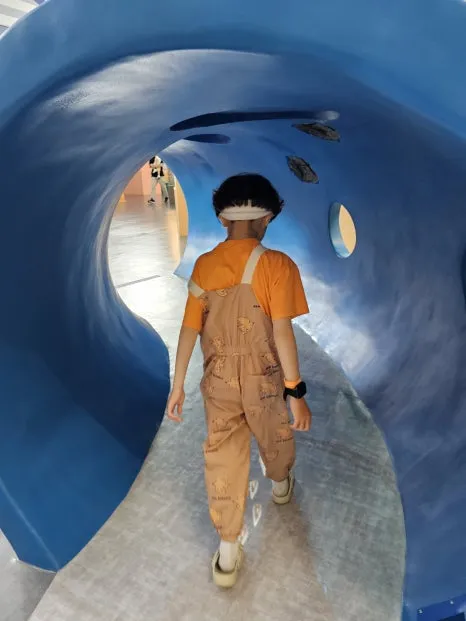 세종 국립어린이박물관 사진 8