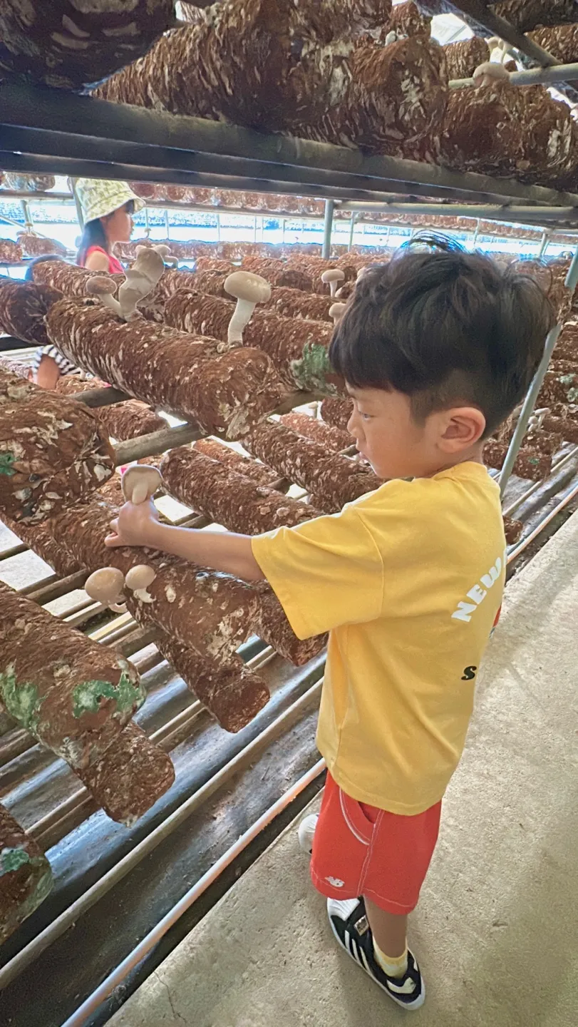 한강노을빛체험마을 사진 6