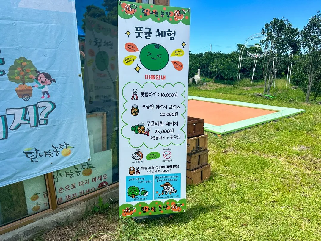 탐나는농장 감귤체험카페 사진 11
