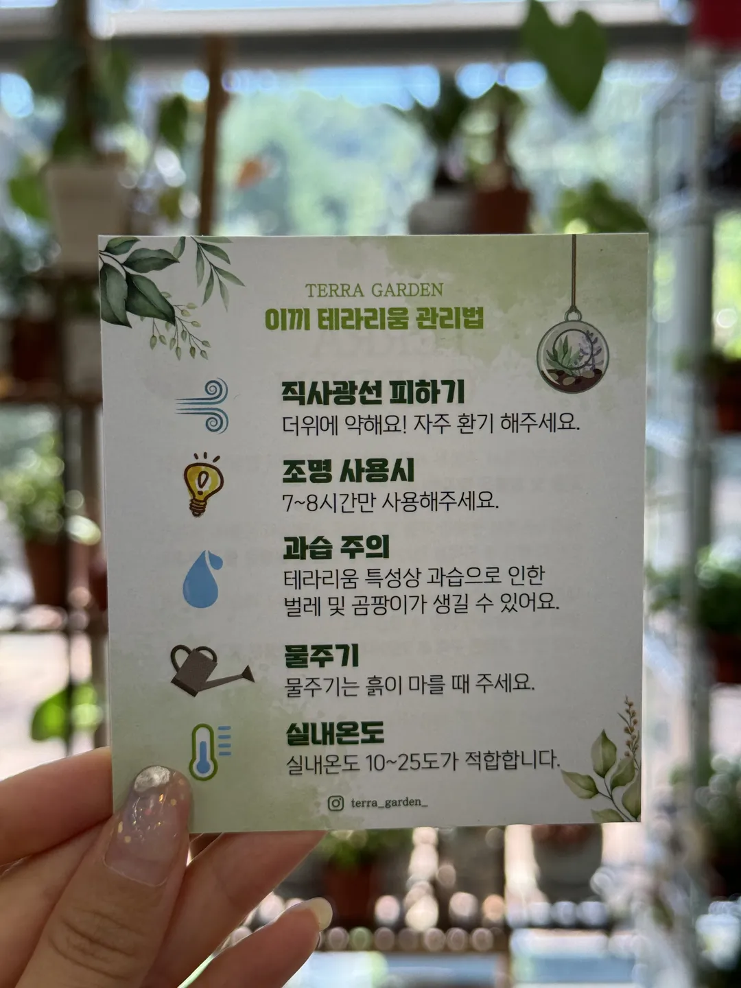 테라가든 사진 19