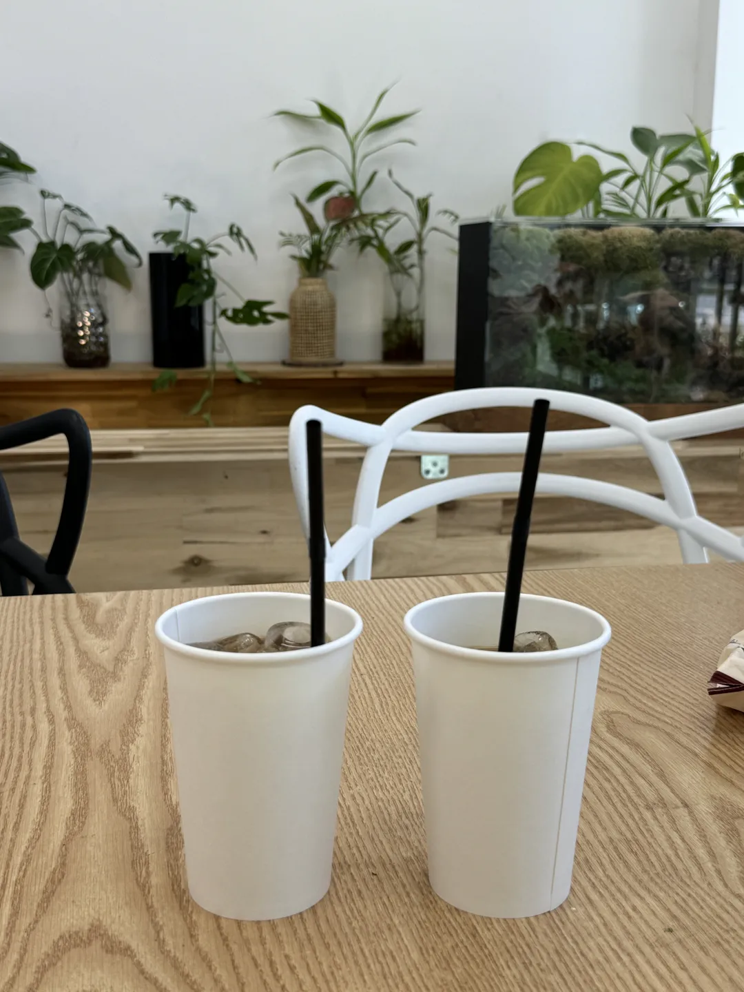 테라가든 사진 13