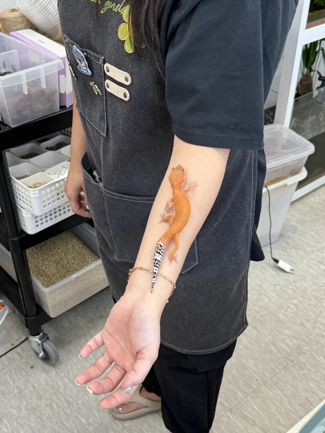 테라가든 사진 7