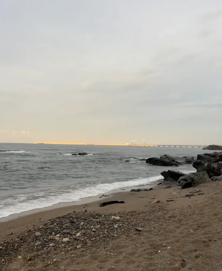 오분해변 사진 8