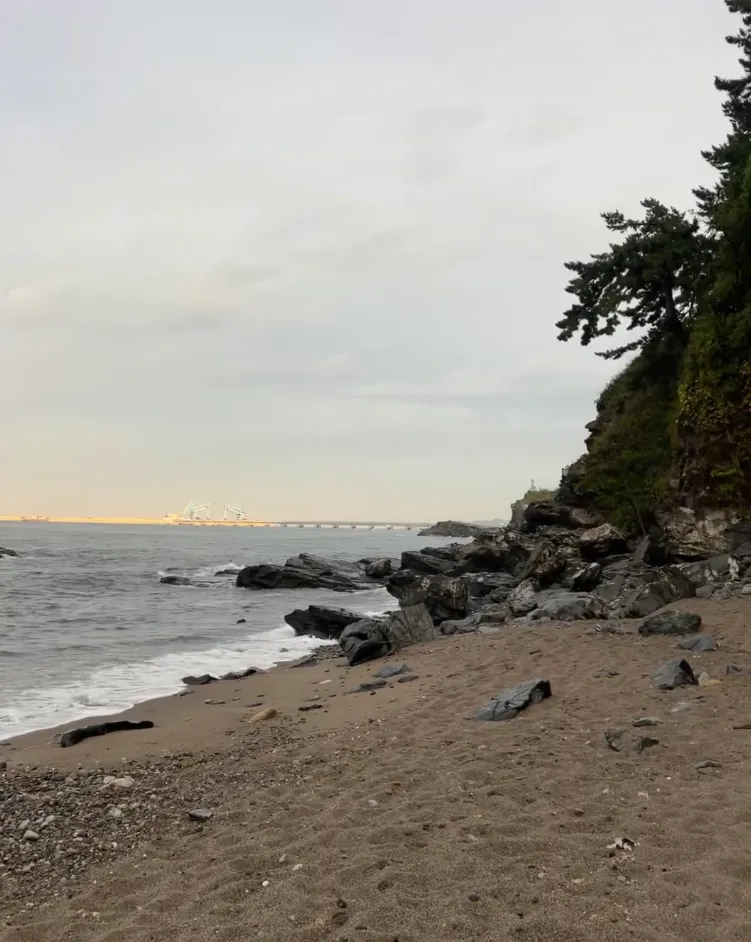 오분해변 사진 6