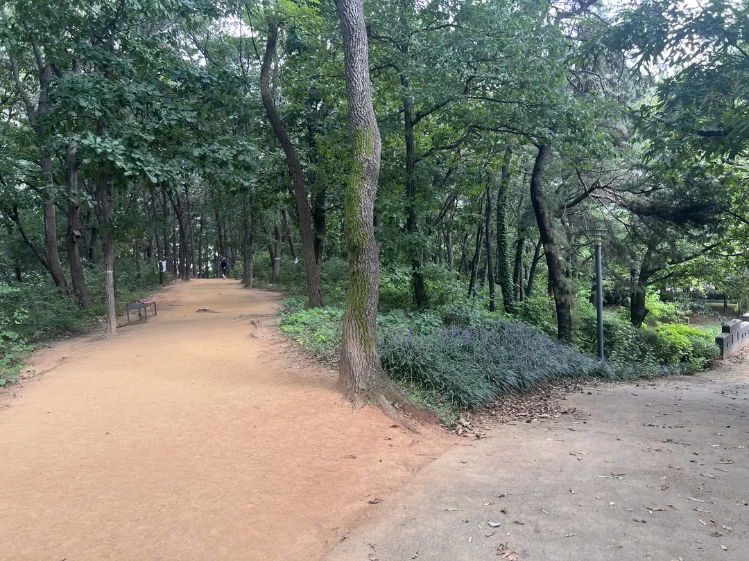 Bukdure Park photo 11